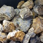 Բնական քար «Petrified Wood (Wood Fossil)»