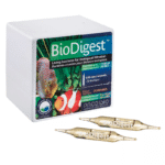 BioDigest Prodobio (1 ամպուլա)