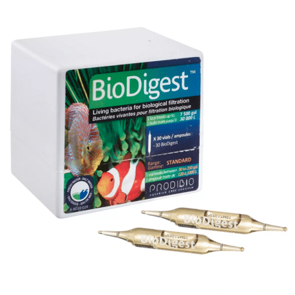 BioDigest Prodobio (1 ամպուլա)