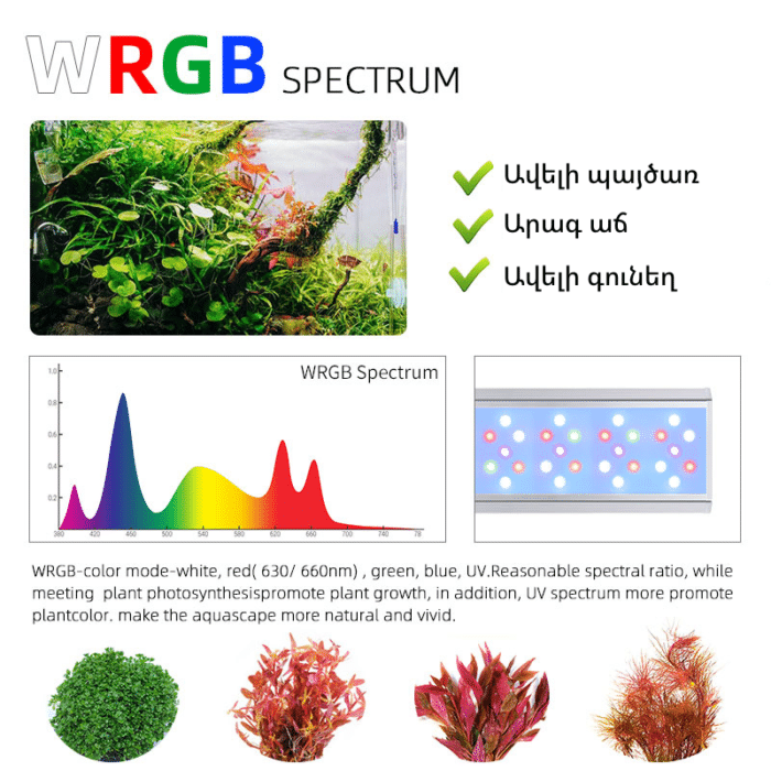 Week Aqua V400K WRGB , Full-spectrum ակվարիումային լեդ լույս - Image 2