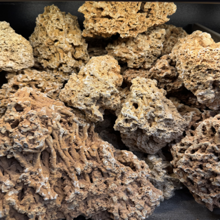 Բնական քար «Yellow Faveolate Rock»