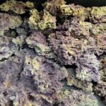 Բնական քար «Jurassic Reef Rock»